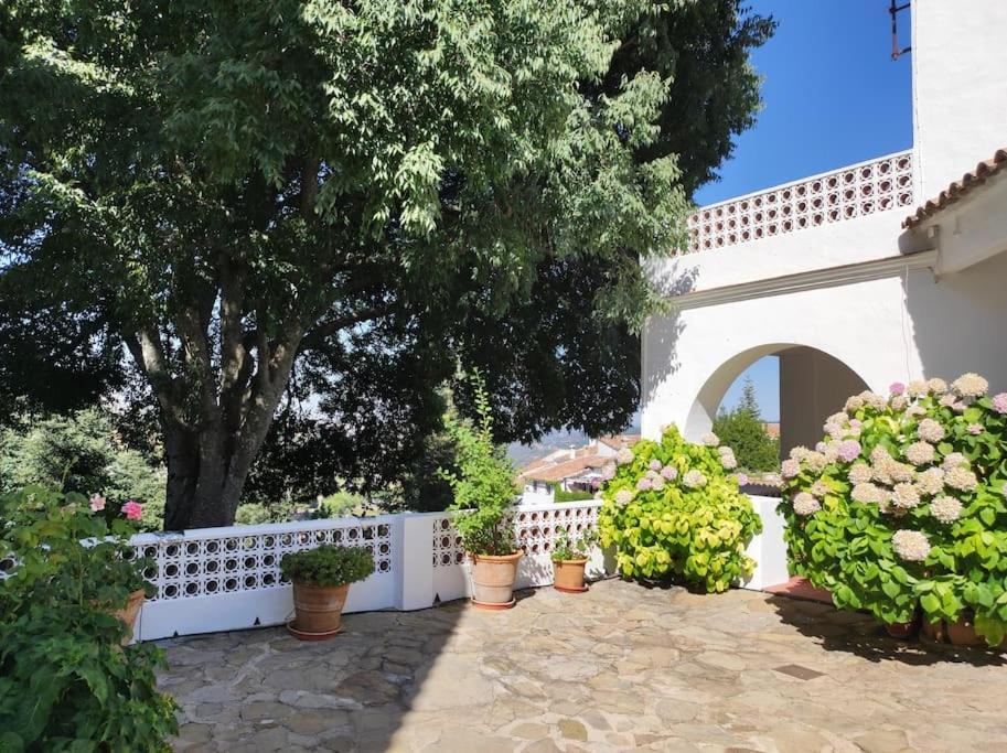 Villa Casa Pomar - Preciosa Casa Con Piscina Y Vistas A La Sierra à Grazalema Extérieur photo