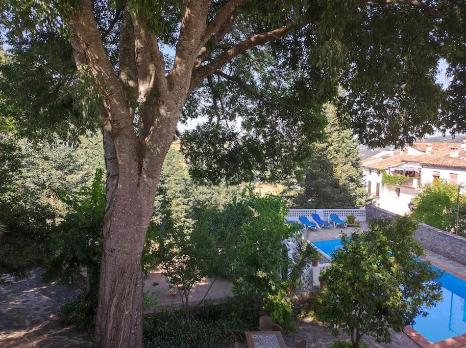 Villa Casa Pomar - Preciosa Casa Con Piscina Y Vistas A La Sierra à Grazalema Extérieur photo